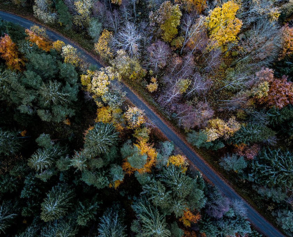 Photograph by Linda Persson