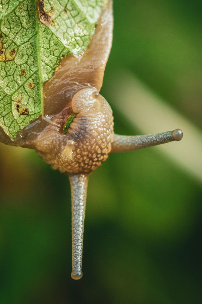 Photograph by Ольга Манудина
