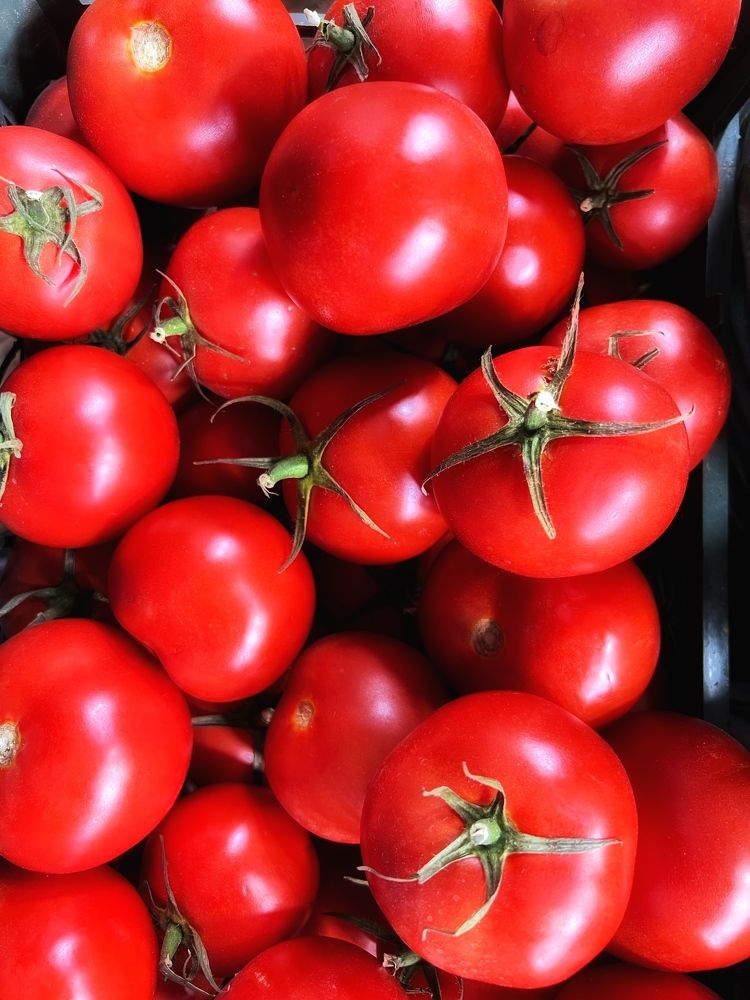 Photograph by Shahrzad Kadkhodae