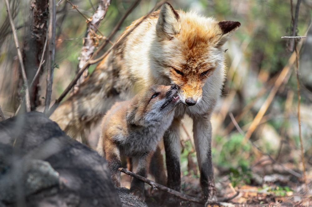 Photograph by Мария Маркина