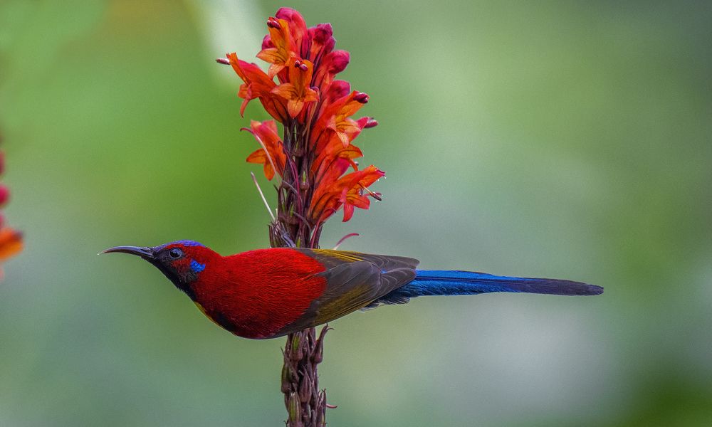 Photograph by Souvick Mukherjee