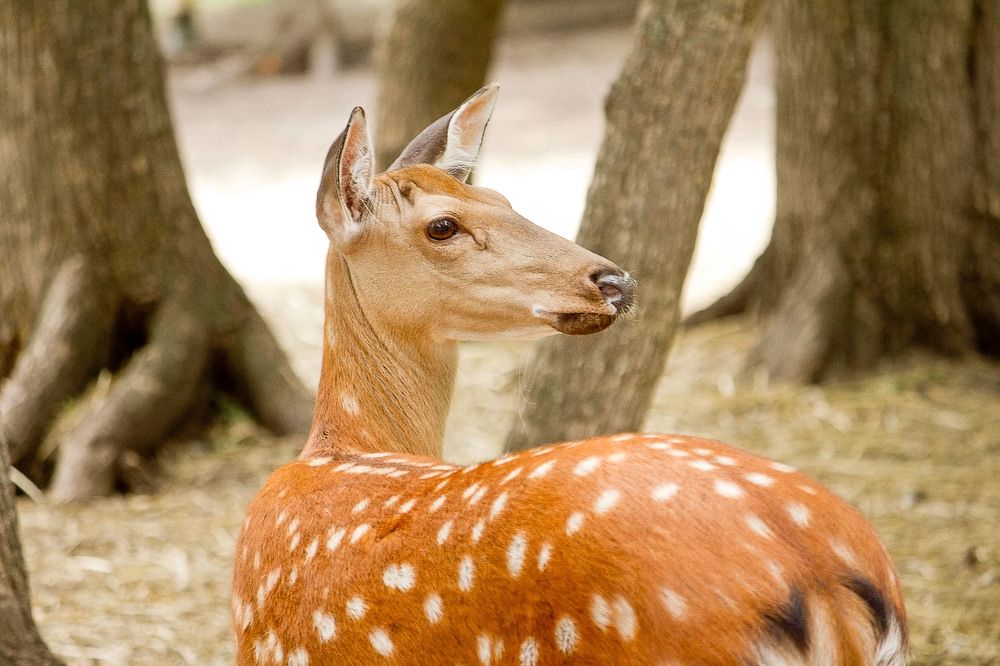 Photograph by Оксана Диткина