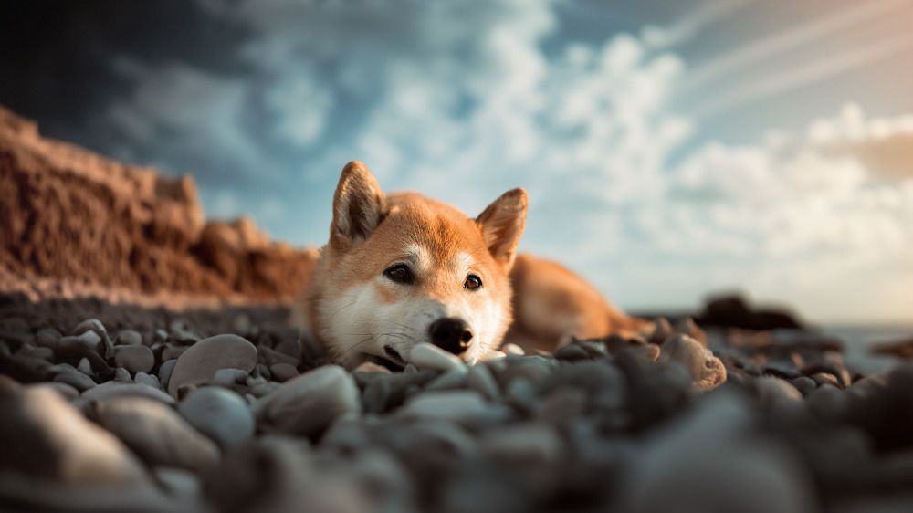 Photograph by Илья Горячий