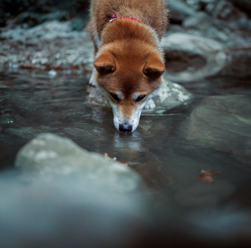 Photograph by Илья Горячий