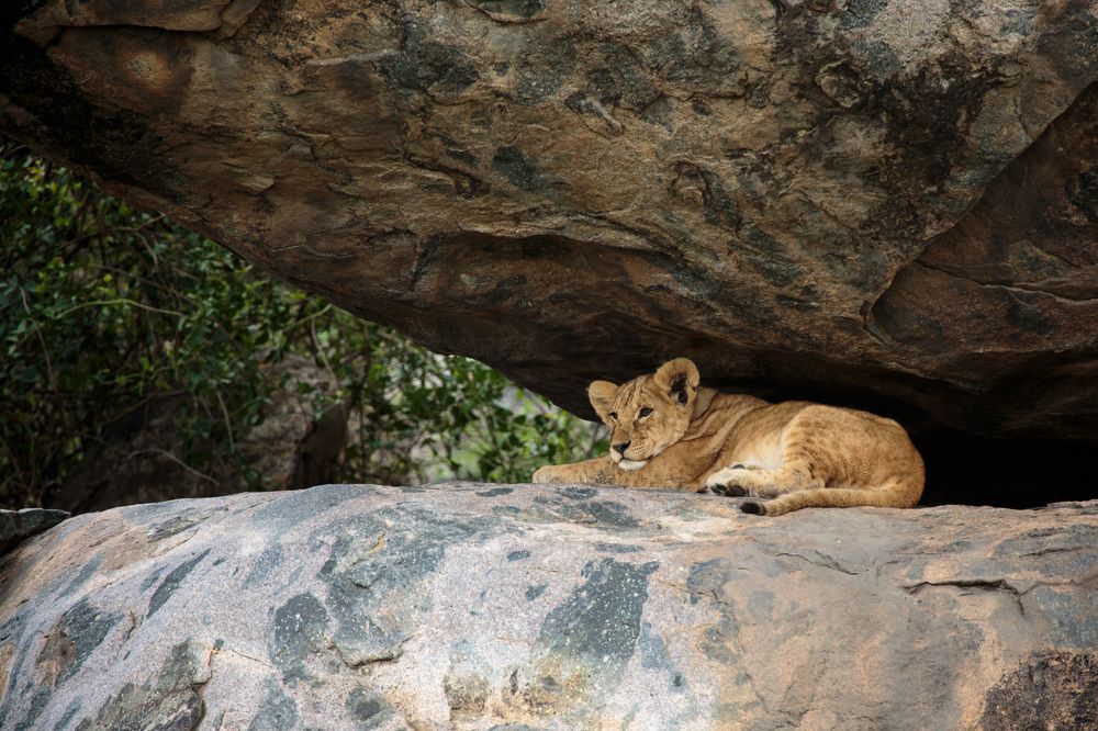 Photograph by Станислав Дроздов