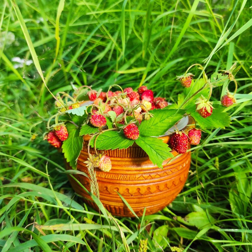Photograph by Андреева Наталья Наумовна