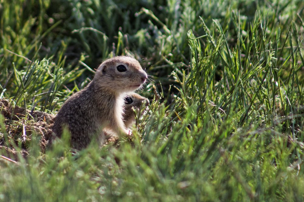 Photograph by Мария Заболотная