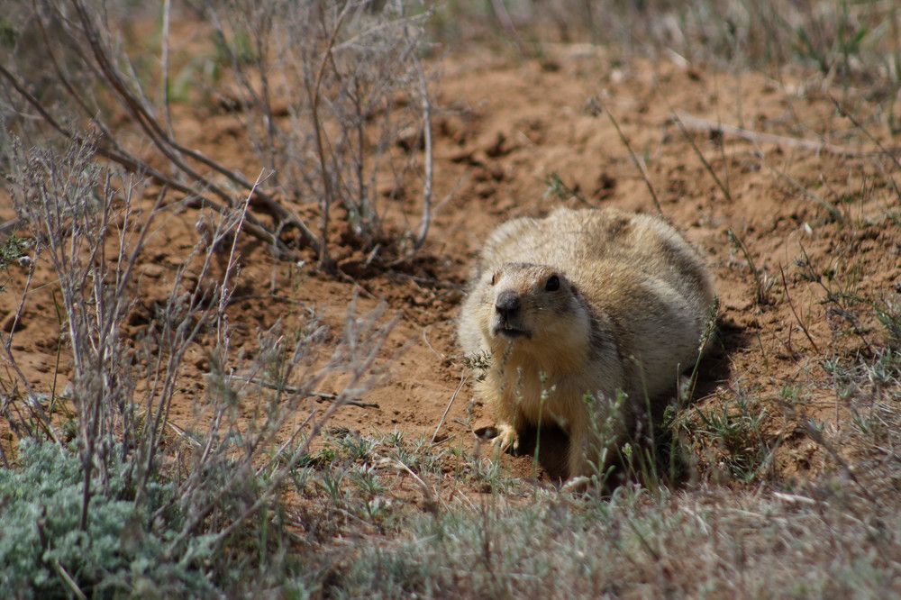 Photograph by Мария Заболотная