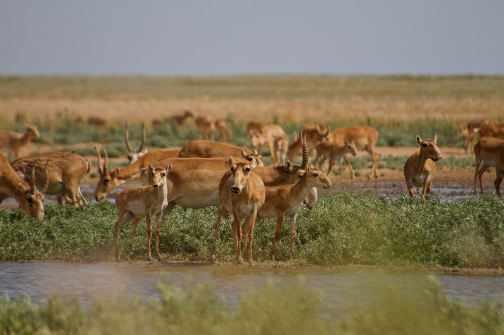 Photograph by Мария Заболотная