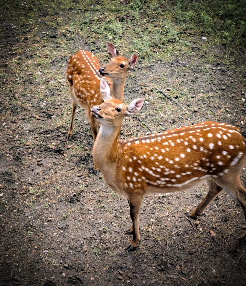 Photograph by Милана Минина