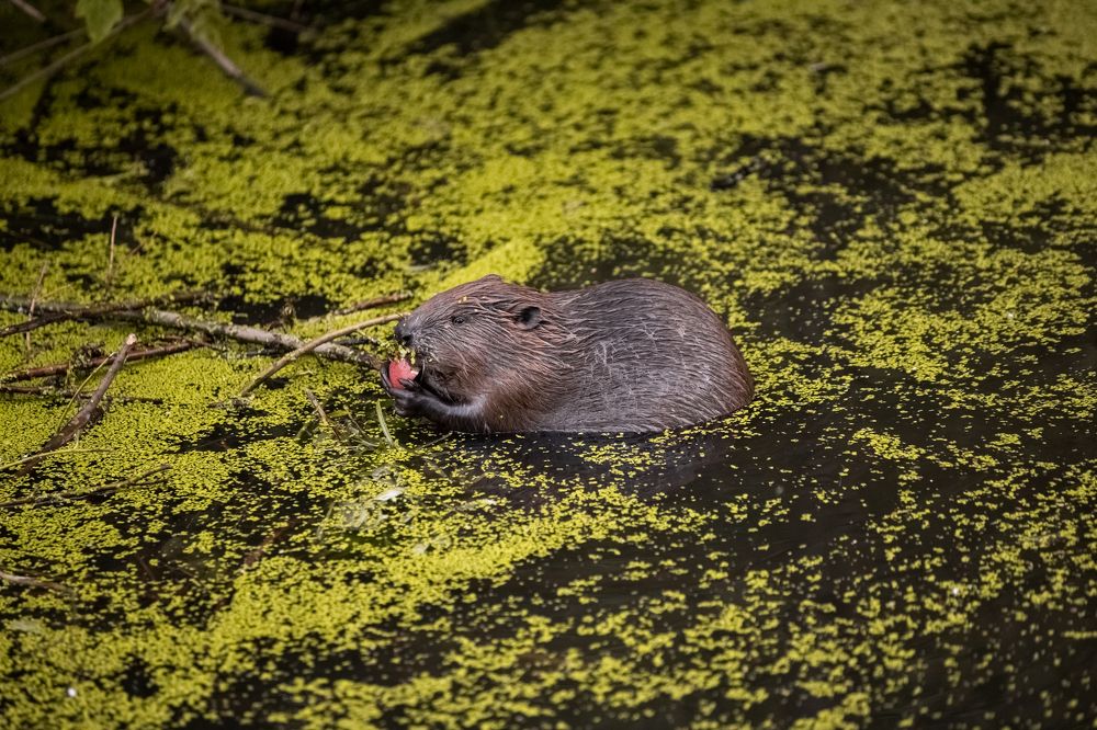 Фотография автора Марина Вишнякова