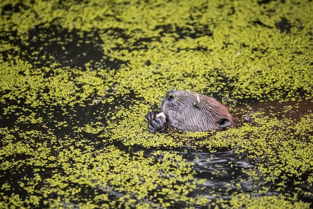 Фотография автора Марина Вишнякова