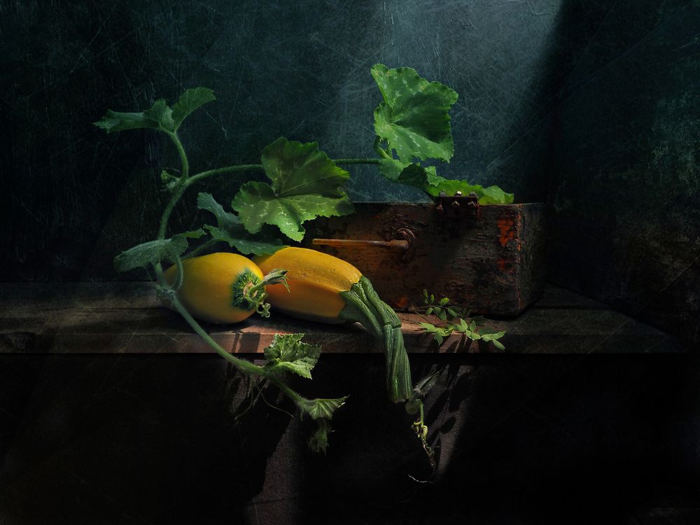 Photograph by Елена Юдовина