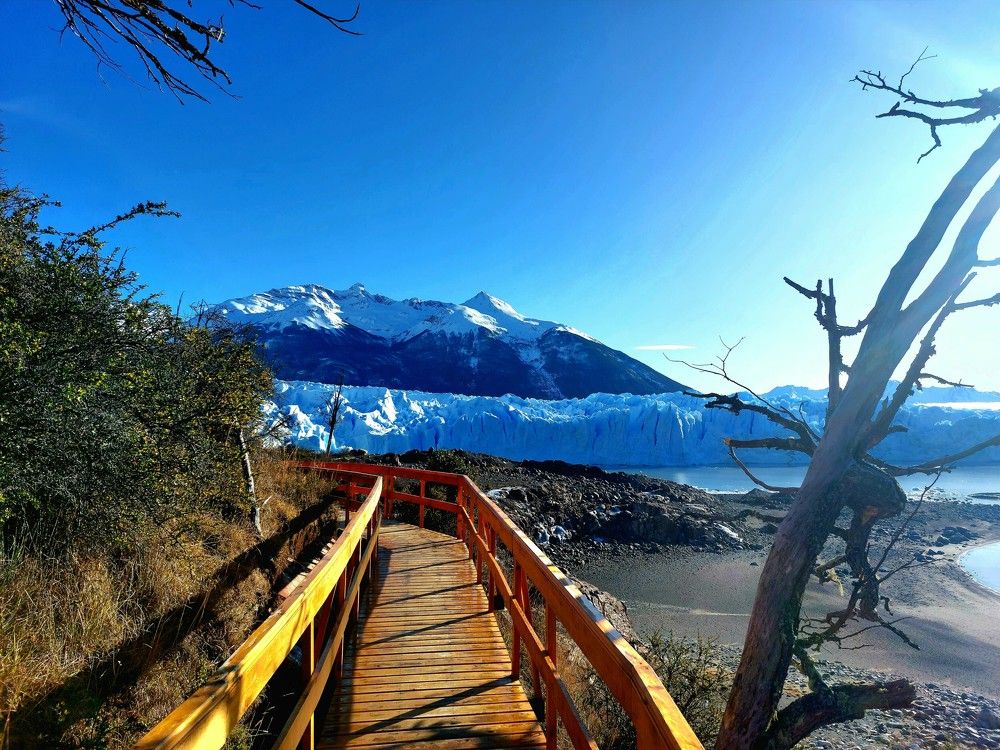 Фотография автора OSMIR ZANETTE