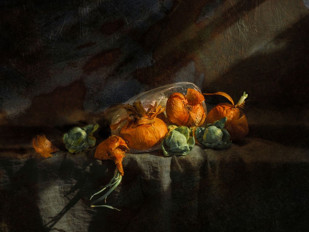 Photograph by Елена Юдовина