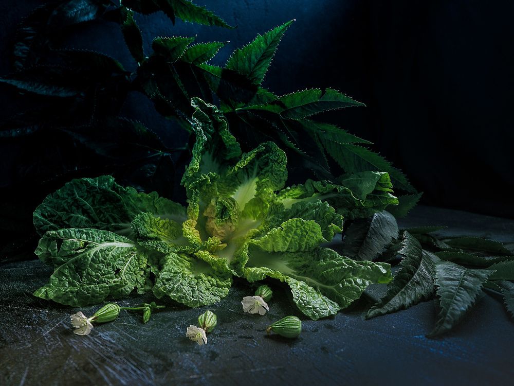 Photograph by Елена Юдовина