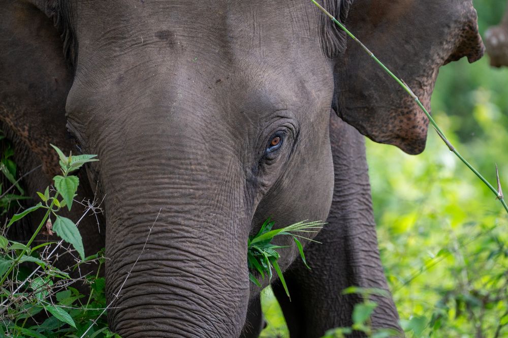 Photograph by Pranav Pula