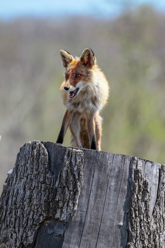 Photograph by Мария Маркина