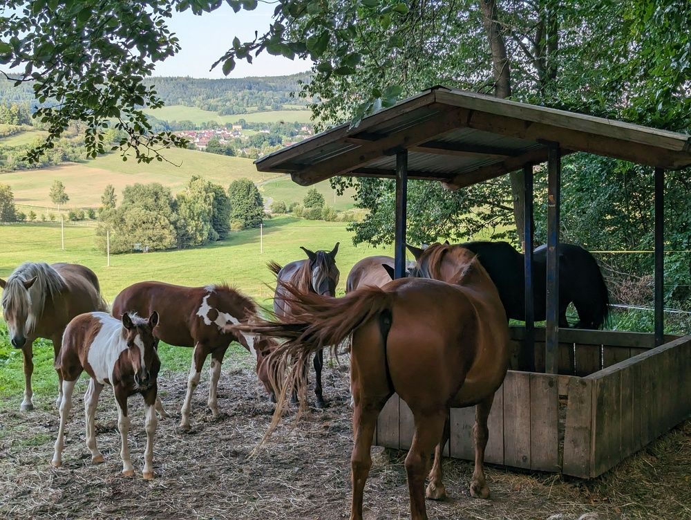 Photograph by Viktoriya Filip