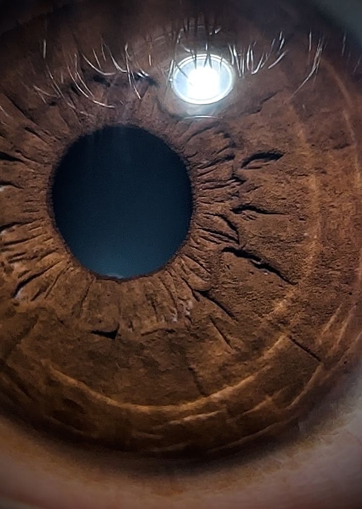 Photograph by Abhijeet Kumar Thakur