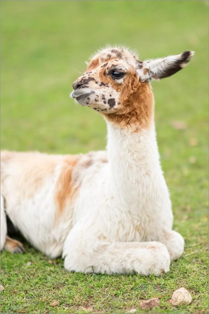 Photograph by Сэрж По