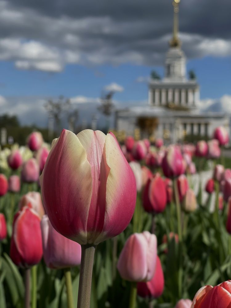 Фотография автора Юлия Косинова