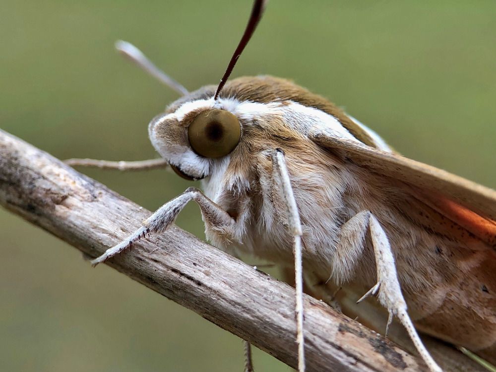 Photograph by Елена Солодовник