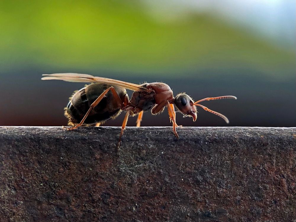 Photograph by Елена Солодовник
