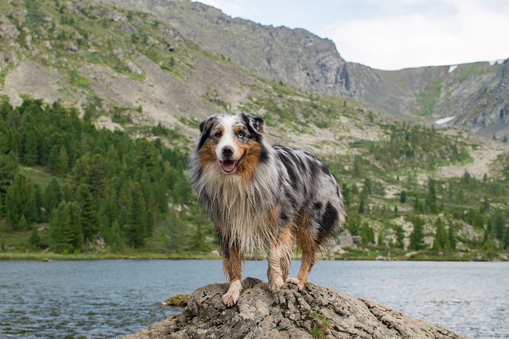 Photograph by Анастасия Фохт