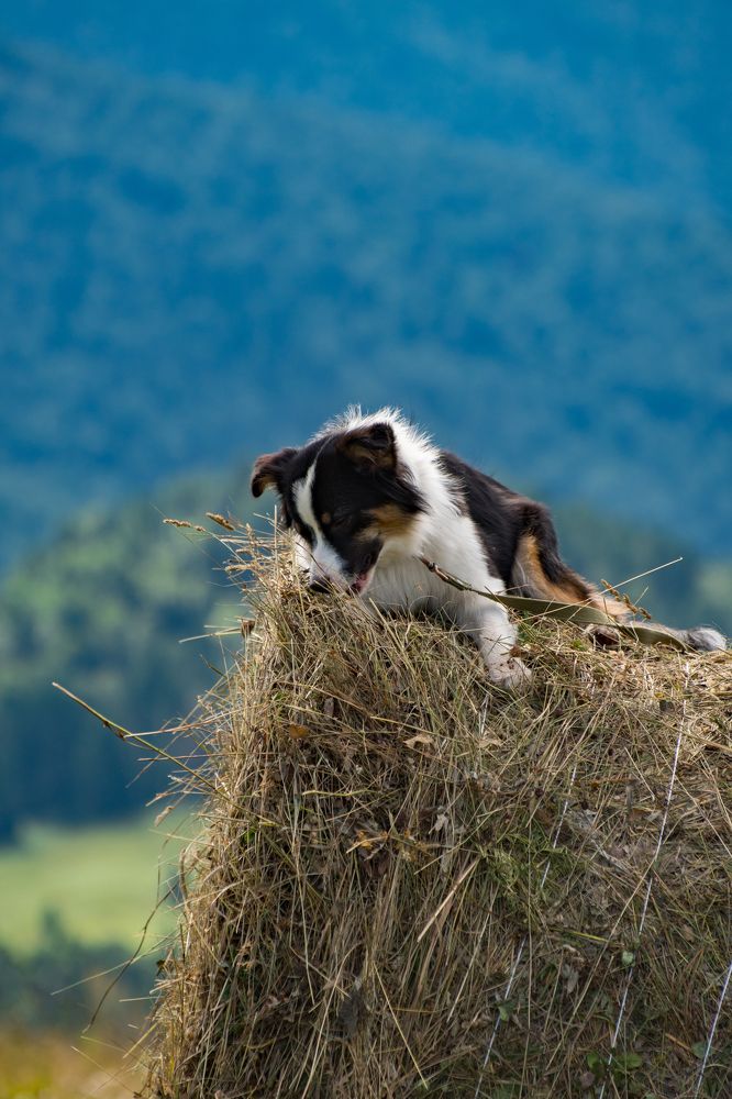 Photograph by Анастасия Фохт