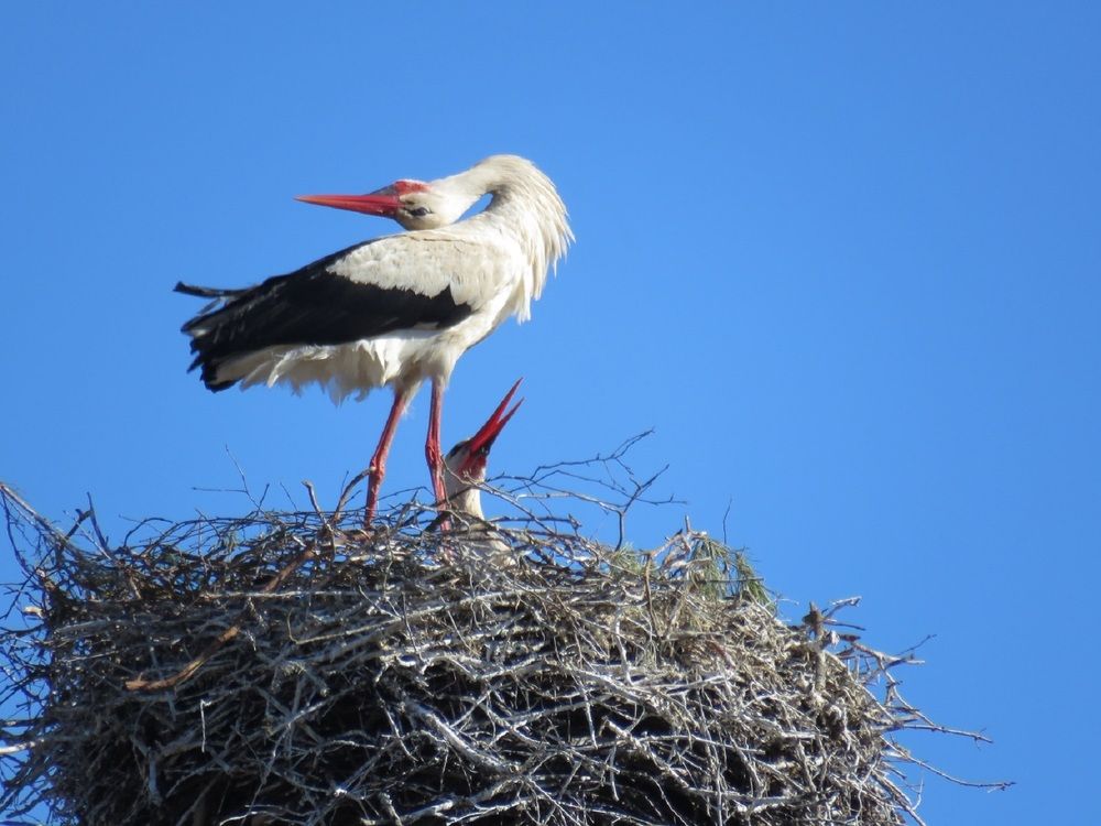 Photograph by Валерия Яскович
