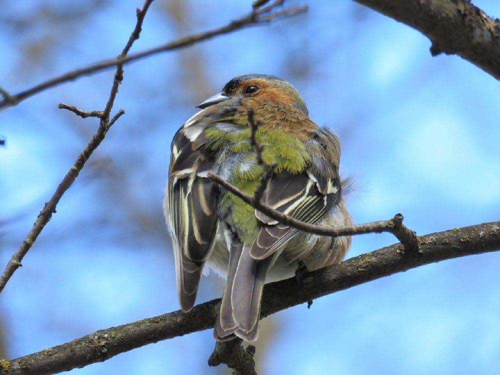 Photograph by Валерия Яскович