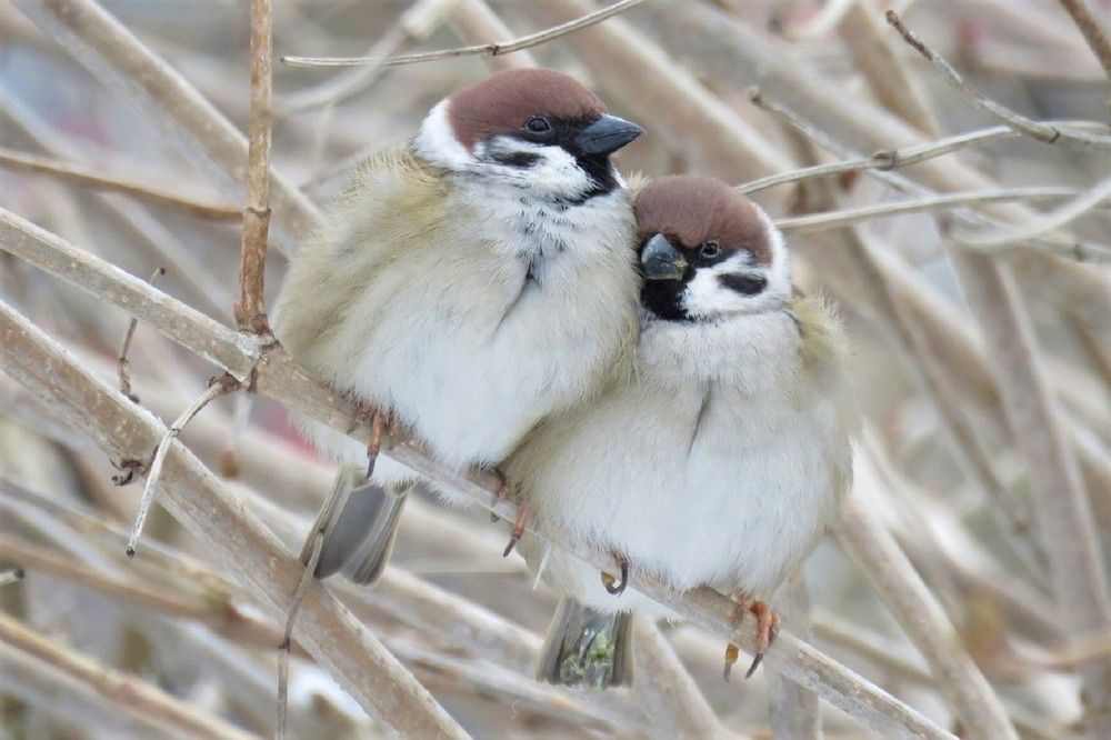 Photograph by Валерия Яскович