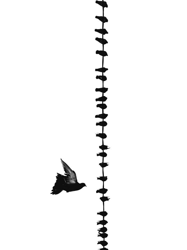 Photograph by Нафисет Хуажева