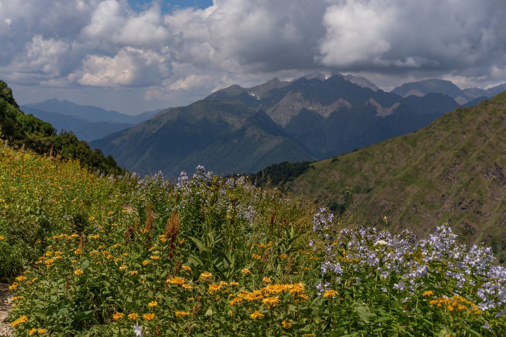 Photograph by Елена Цапко