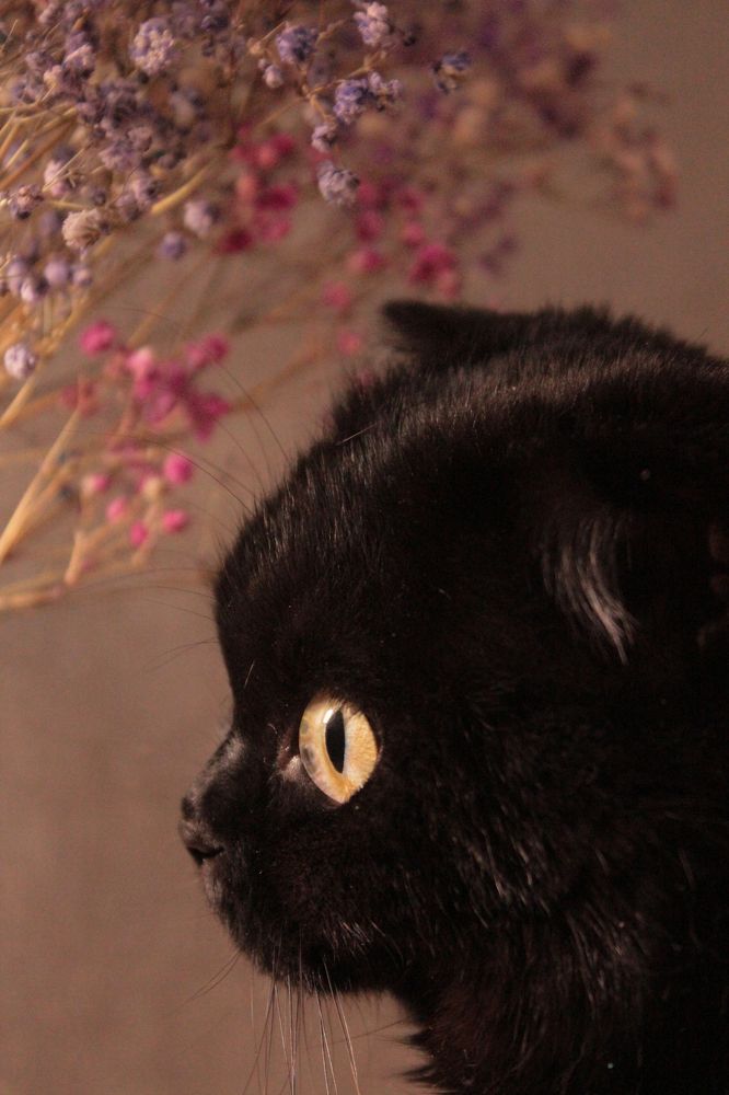 Photograph by Татьяна Пуртова