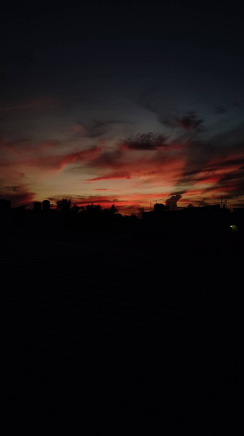 Photo #9864173