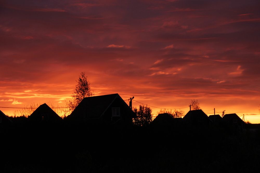 Photograph by Зоя Кулько