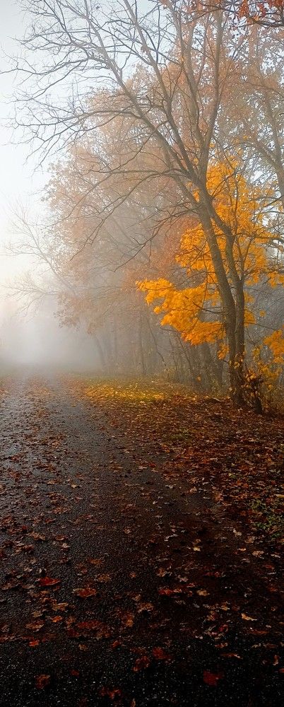 Photograph by Надежда Ржевская