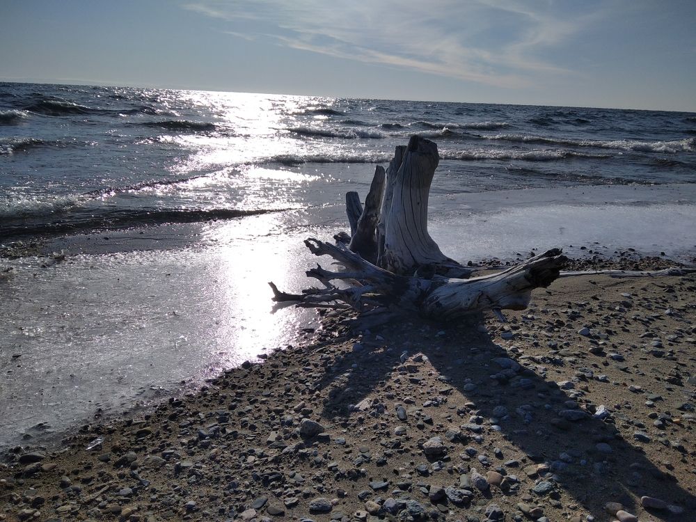 Photograph by Галина Мурашкина