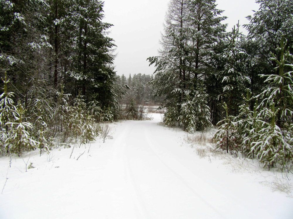 Photograph by Ирина Осипова