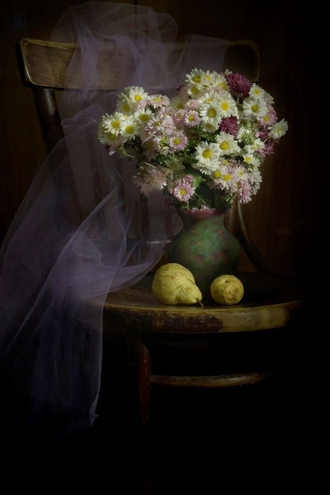 Фотография автора лилия беланова