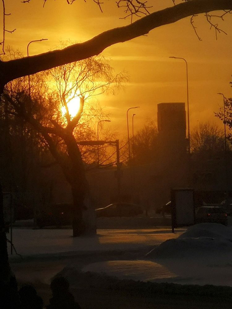 Photograph by Olga Asson