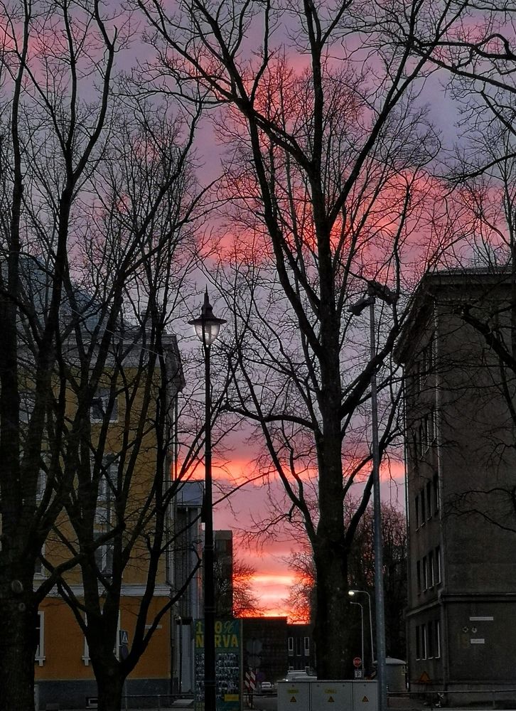 Photograph by Olga Asson