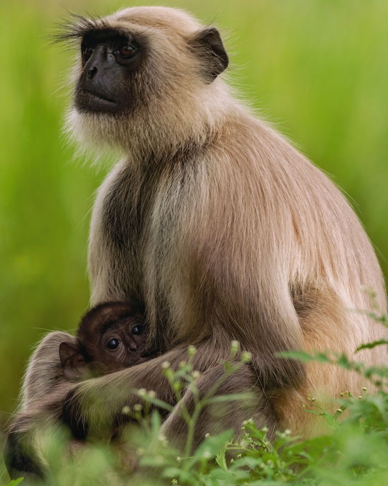 Photograph by Kuldeep Lodhi