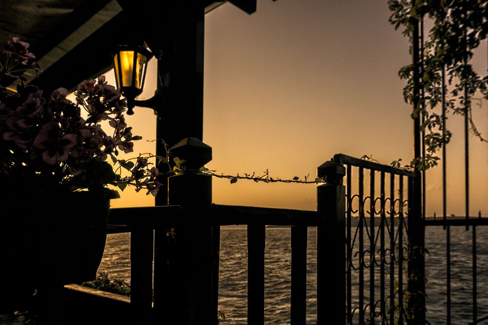 Фотография автора Milena Ivanova