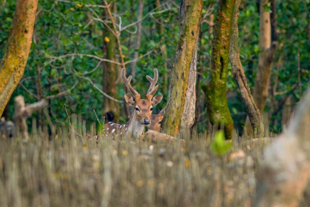 Photograph by Aritro Bose