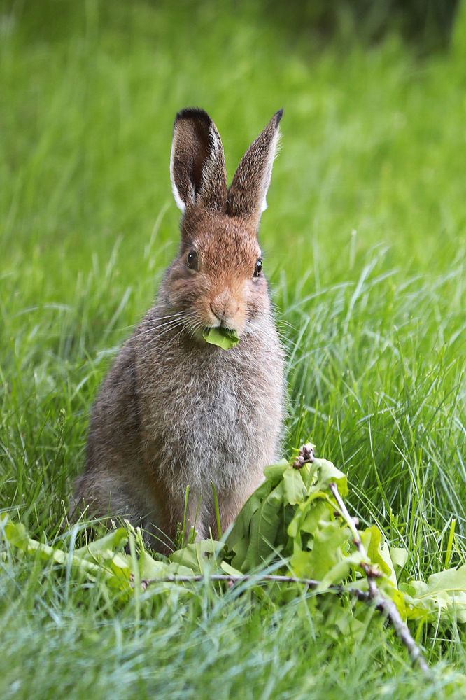 Photograph by Наталья Суслова