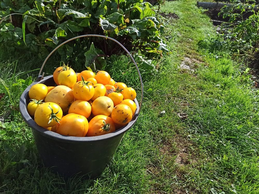 Фотография автора Александр Осинцев