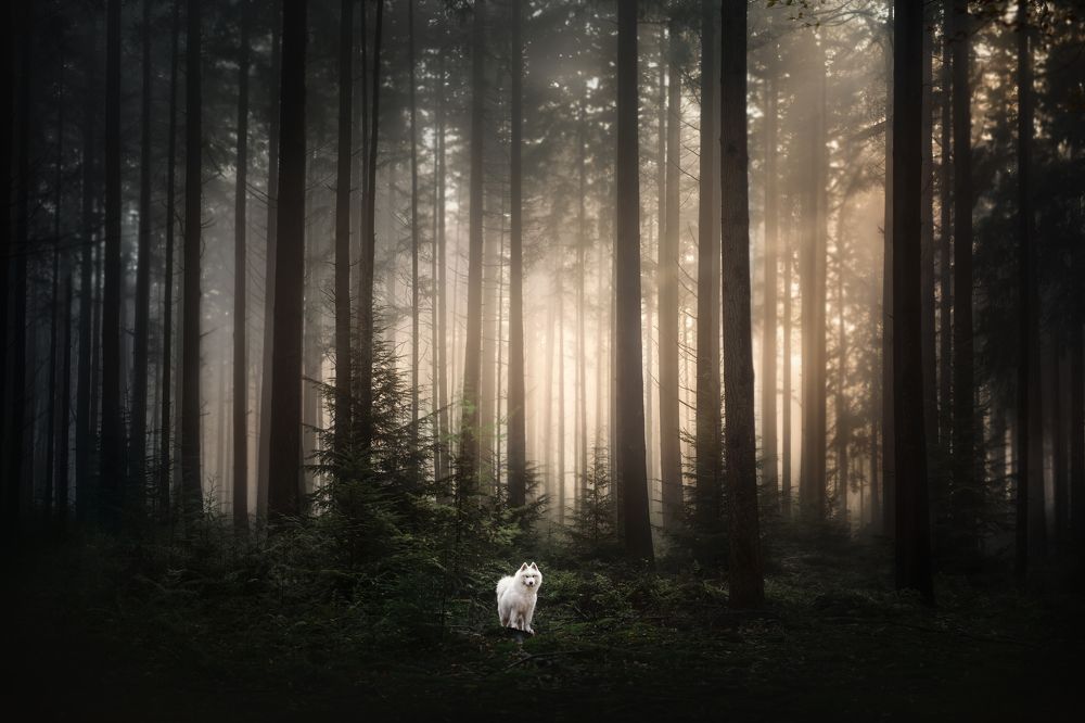 Photograph by Fleur Scholte